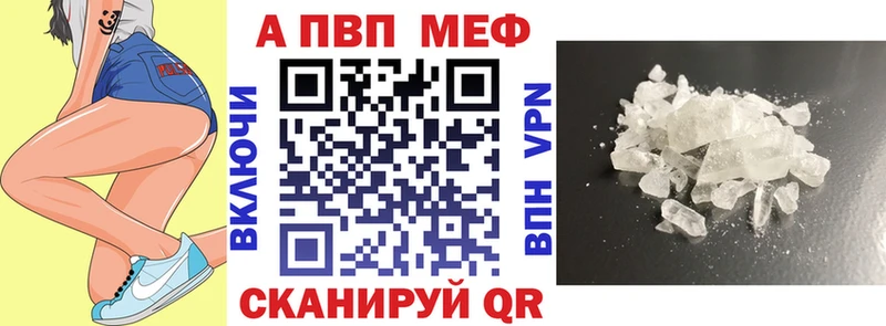 A PVP СК  Зерноград 