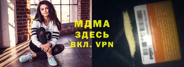дживик Ельня