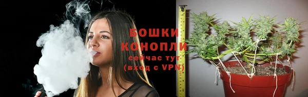 прущий лед Переславль-Залесский
