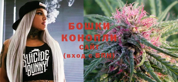 тгк Елизово