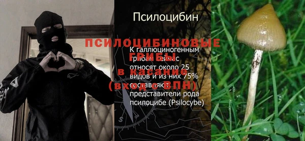 прущий лед Переславль-Залесский