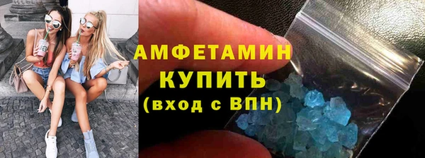 дживик Ельня