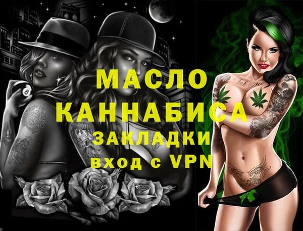 дживик Ельня