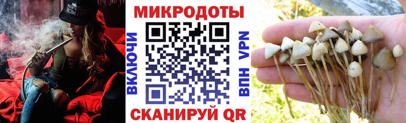 мега ТОР  продажа наркотиков  Зерноград  нарко площадка официальный сайт  Галлюциногенные грибы Magic Shrooms 